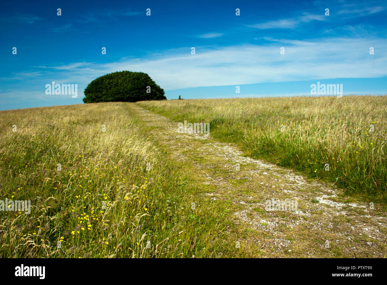 Gagnez Green, une barrow de l'âge de bronze au sommet d'une colline du Wiltshire et profitez de vues spectaculaires dans toutes les directions Banque D'Images