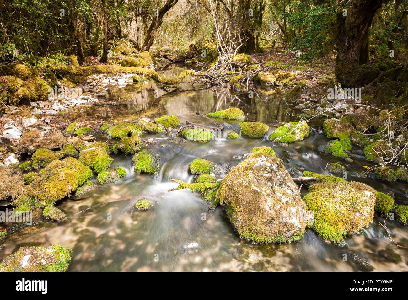 Courant avec pierres de rivière couverts de mousse Banque D'Images