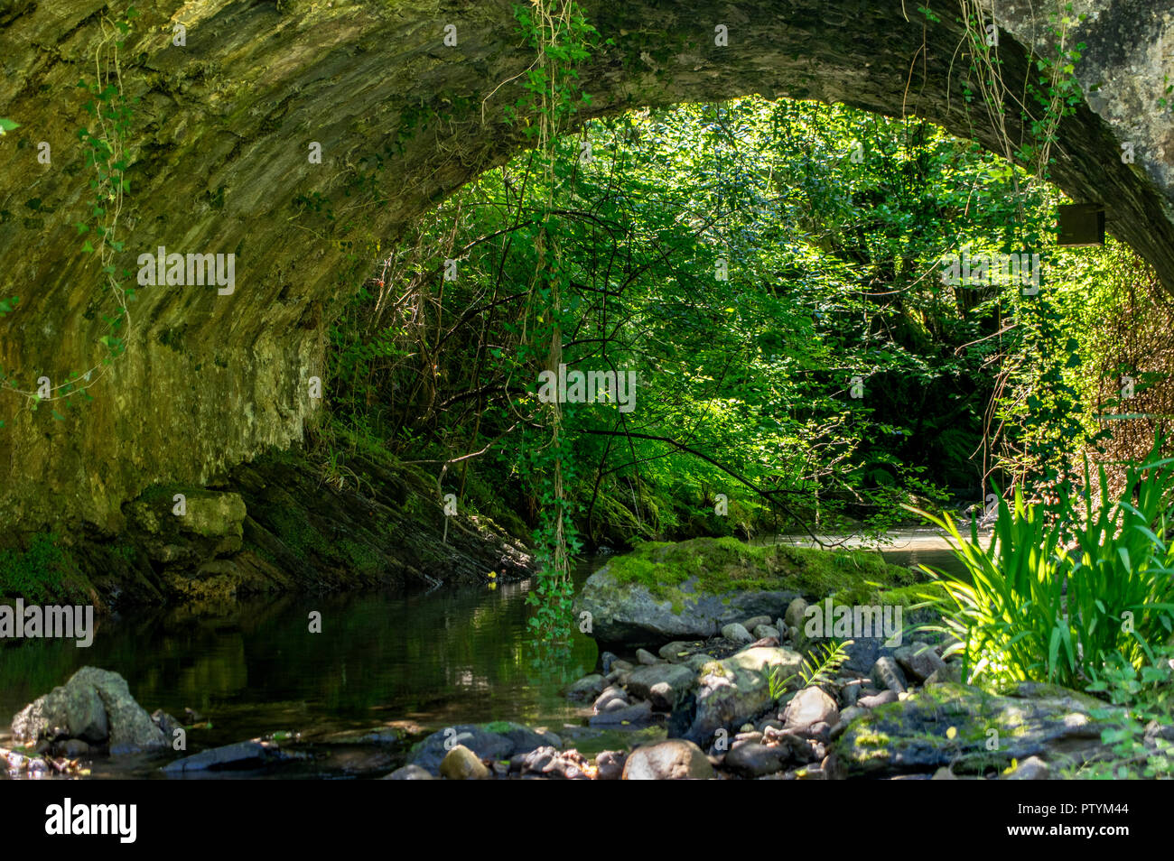 Pont sur la rivière Erreka Aratz, Urrestilla, Gipuzkoa, Pays Basque Banque D'Images