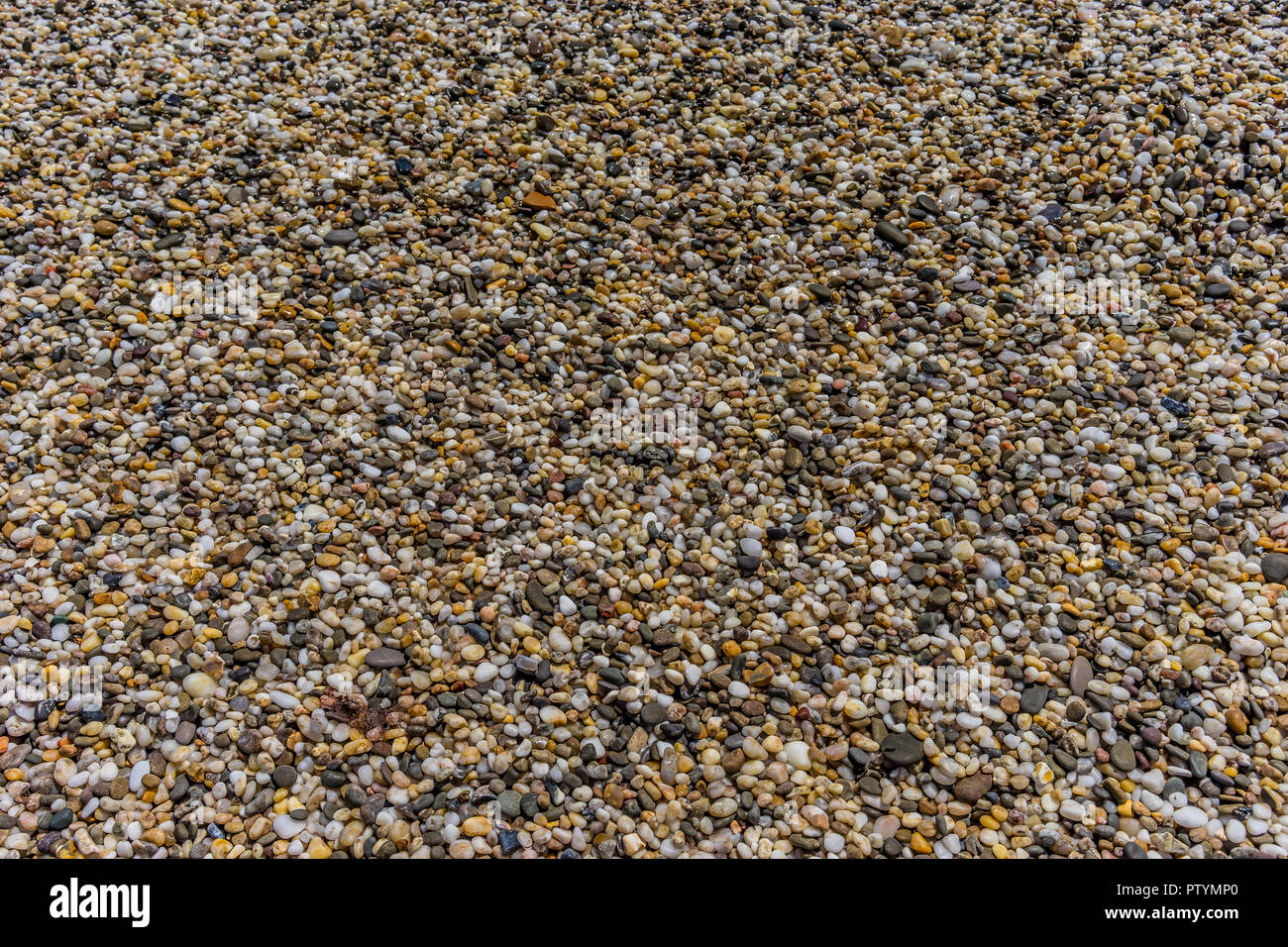 Arrière-plan de couleur naturelle des petits cailloux sur la plage Banque D'Images