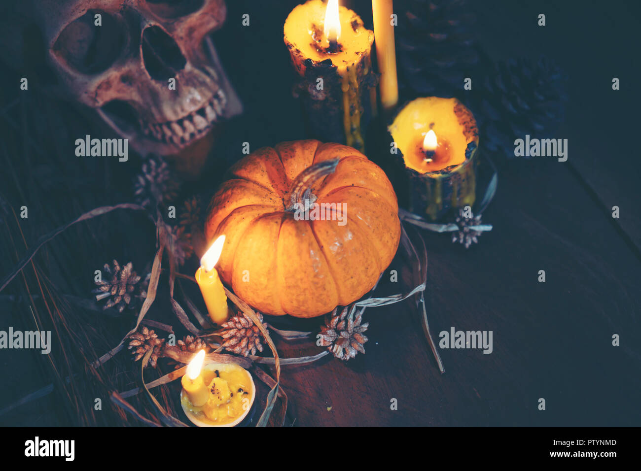 Halloween citrouille, vintage image filtre Photo Stock - Alamy
