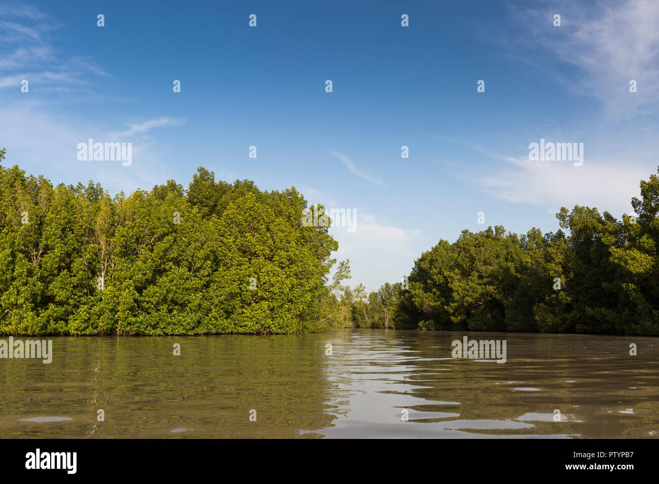 Vue paysage de rivière et de la végétation, de Tendaba, Gambie, Novembre Banque D'Images