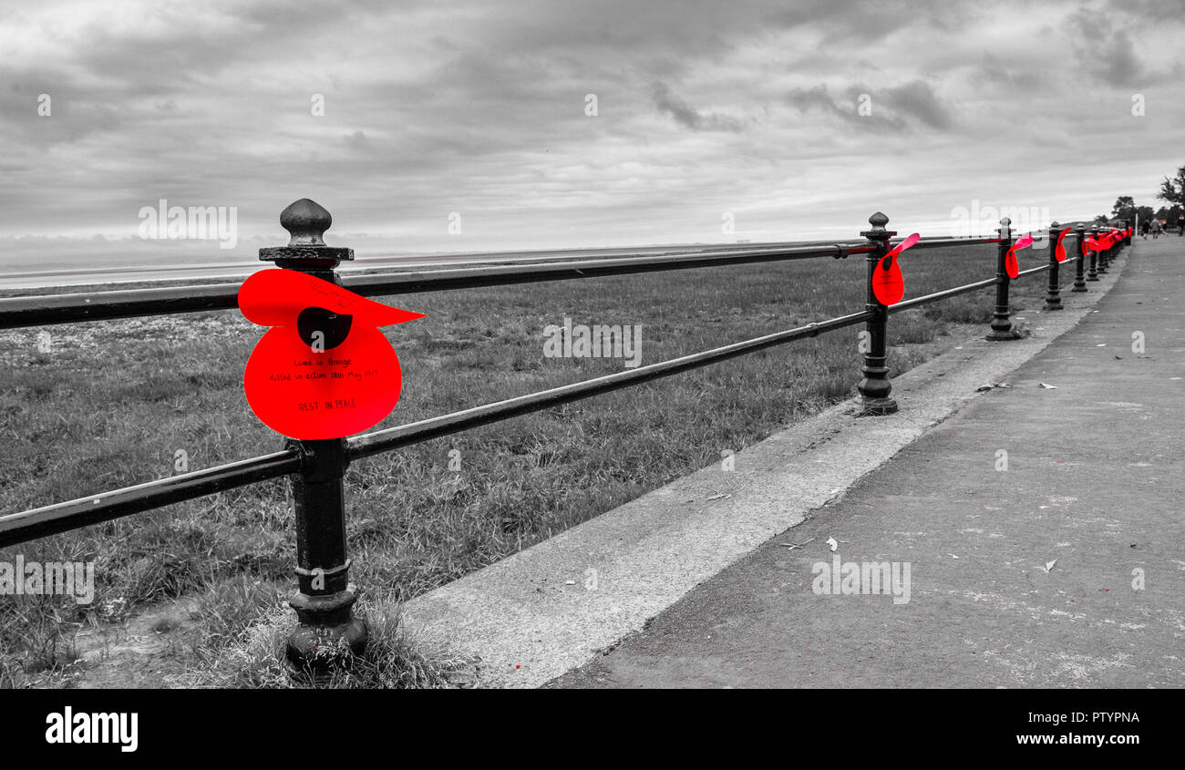 Grands pétales du coquelicot rouge en plastique fixé sur le garde-corps en métal le long de la promenade à Grange-over-Sands honorer les soldats de la première guerre mondiale. Banque D'Images