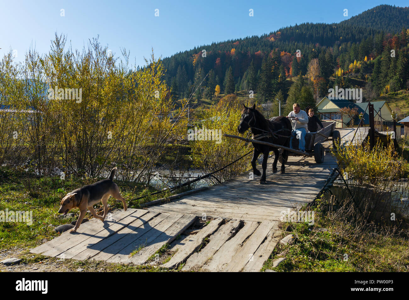 Beau paysage d'automne avec un cheval panier sur le pont de bois dans les montagnes des Carpates, l'Ukraine. Banque D'Images