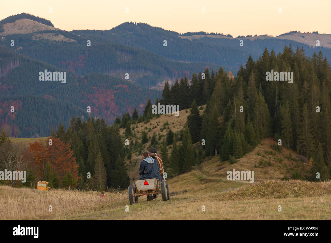 Zelene, Ukraine - le 11 octobre 2017 : beau paysage d'automne avec un cheval panier sur la route rurale dans les Carpates, l'Ukraine. Banque D'Images