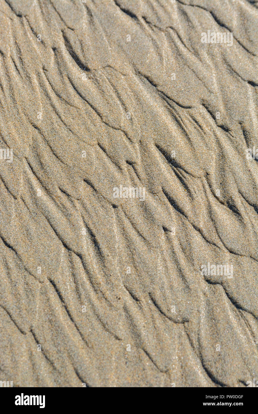 Marques d'ondulation à marée basse / crêtes fluviales dans le sable humide de la plage. Concept de modèles de flux de type Mars. Pour l'étude stratigraphique. Banque D'Images