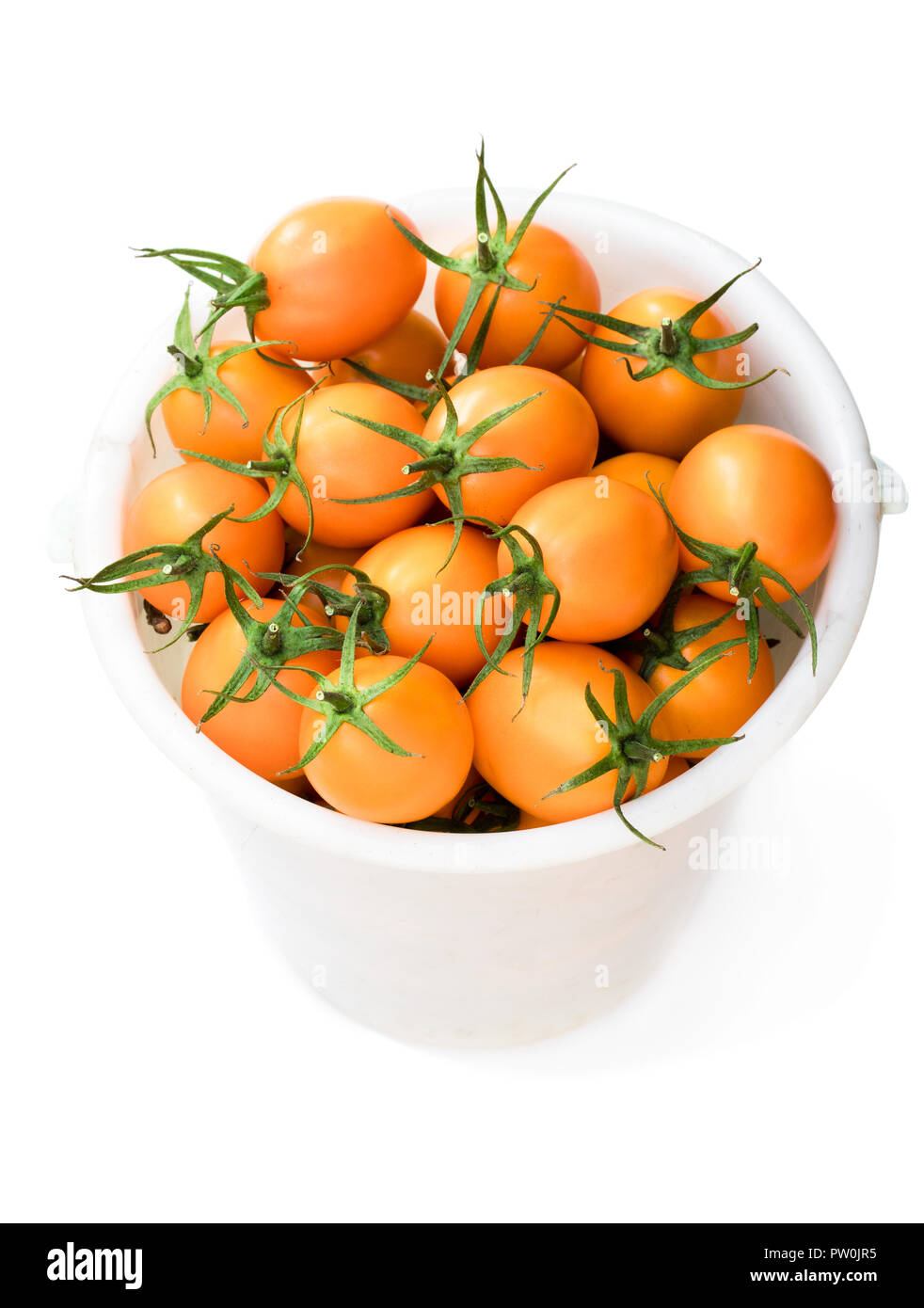 Seau en plastique plein de tomates jaunes frais isolé sur le livre blanc Banque D'Images