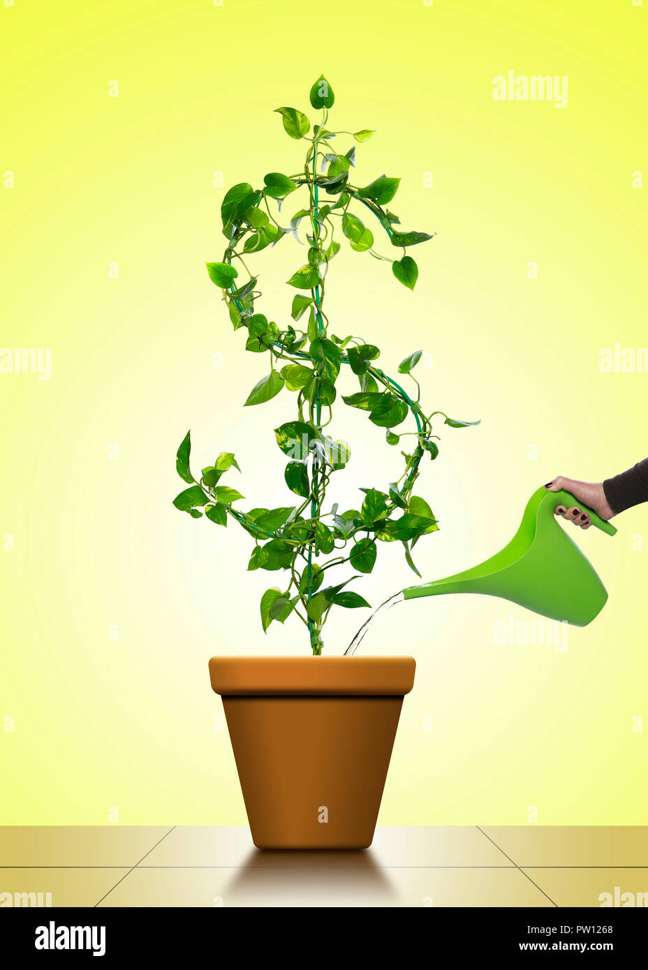 Arrosage Concept un signe dollar $ Maison en forme de plante Pothos Doré, l'argent, la gestion du portefeuille de croissance, de richesse, de soins, de prendre soin Business Banque D'Images