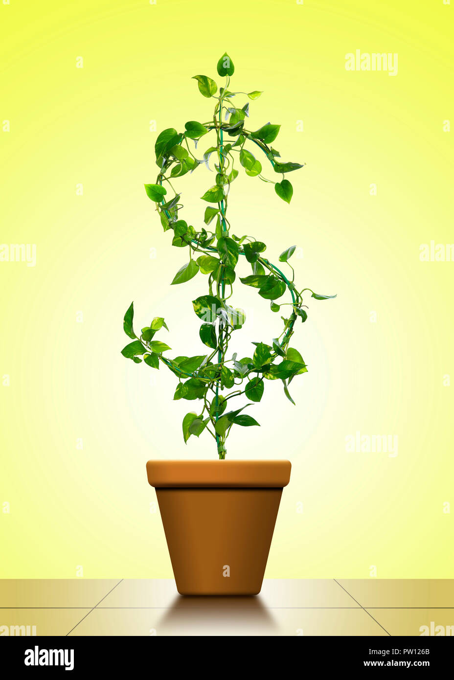 Concept Un signe dollar $ Maison en forme de plante Pothos Doré, l'argent, la gestion du portefeuille de croissance, de richesse, de soins, de prendre soin Business Banque D'Images
