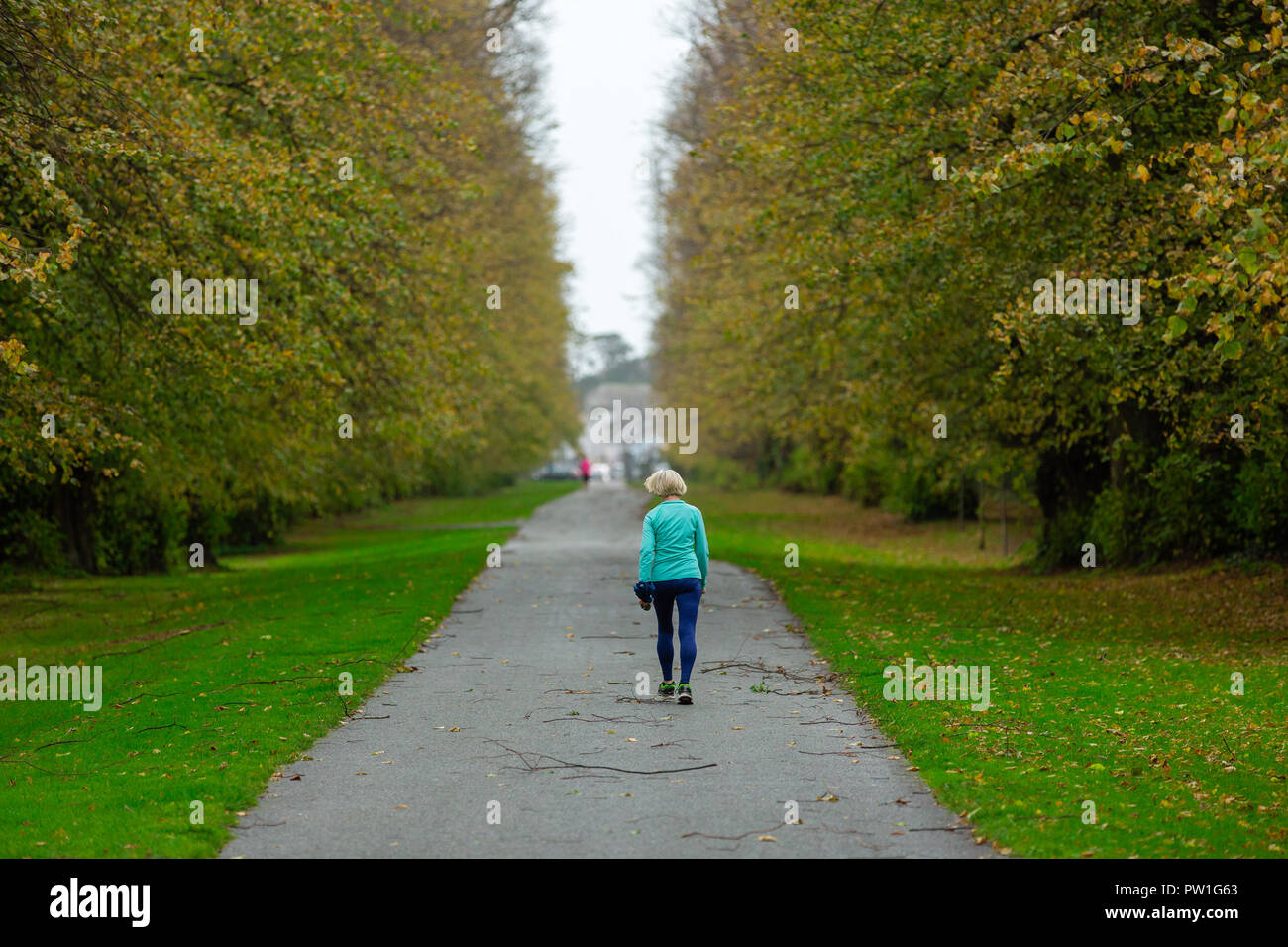 Celbridge, comté de Kildare, Irlande. Oct 12, 2018 : la suite de Storm Callum dans le parc de Castletown, Meknès. Matin calme et deux des branches mais pas de dommages majeurs à la foresterie. Les gens marcher et avant la jonglerie de forte pluie foretasted pour l'après-midi que Storm Callum se déplace à travers l'Irlande. Crédit : Michael Grubka/Alamy Live News Banque D'Images