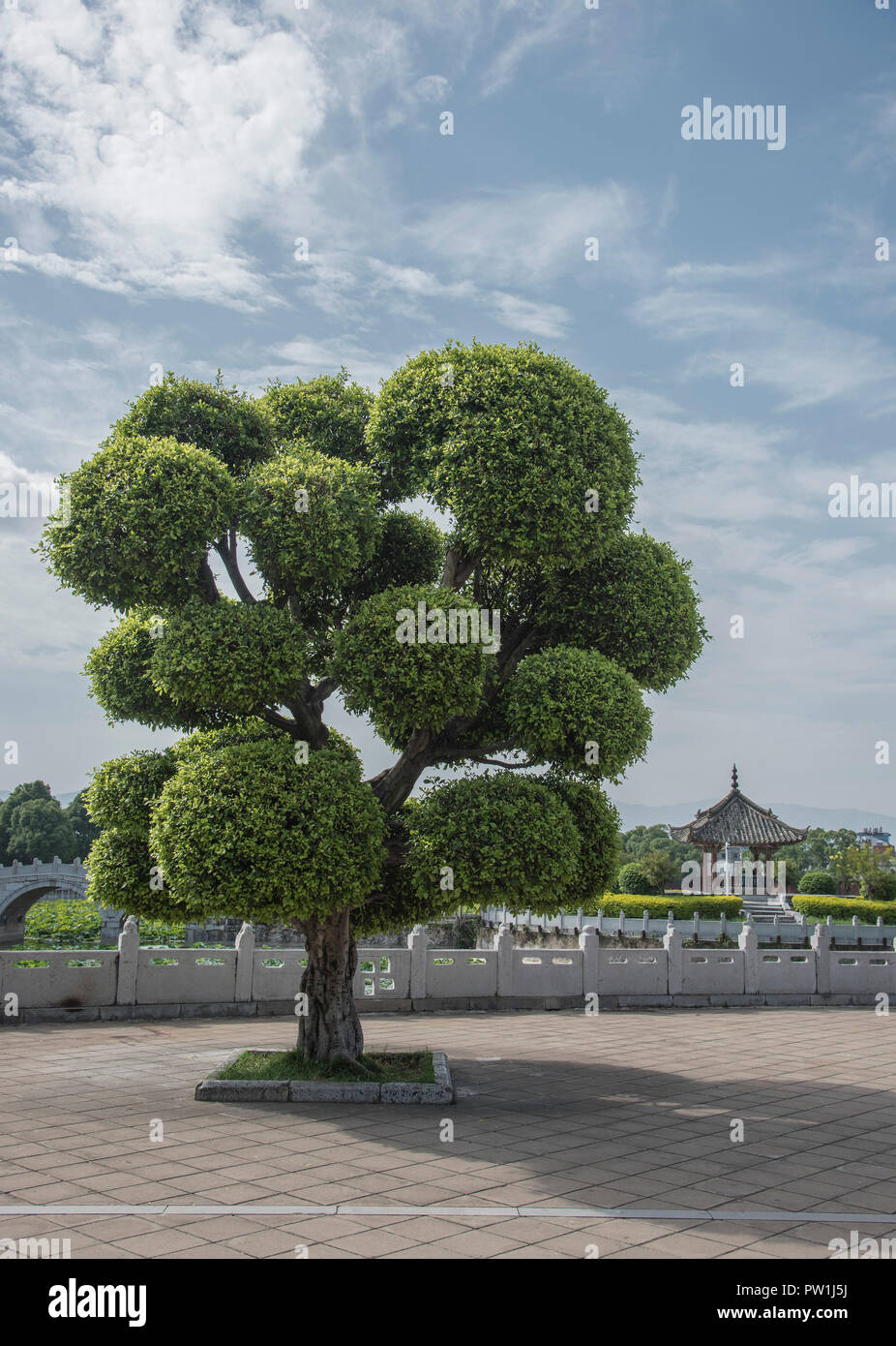 Les jardins du grand philosophe Confucius situé dans le district de Jiangshui Kunming Chine. Banque D'Images