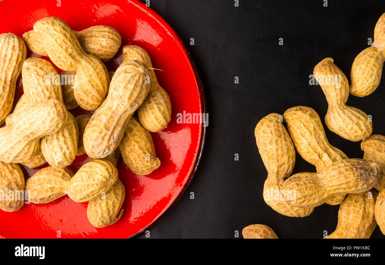 L'arachide, Arachis hypogaea, en coquille sur fond sombre, Close up, selective focus Banque D'Images
