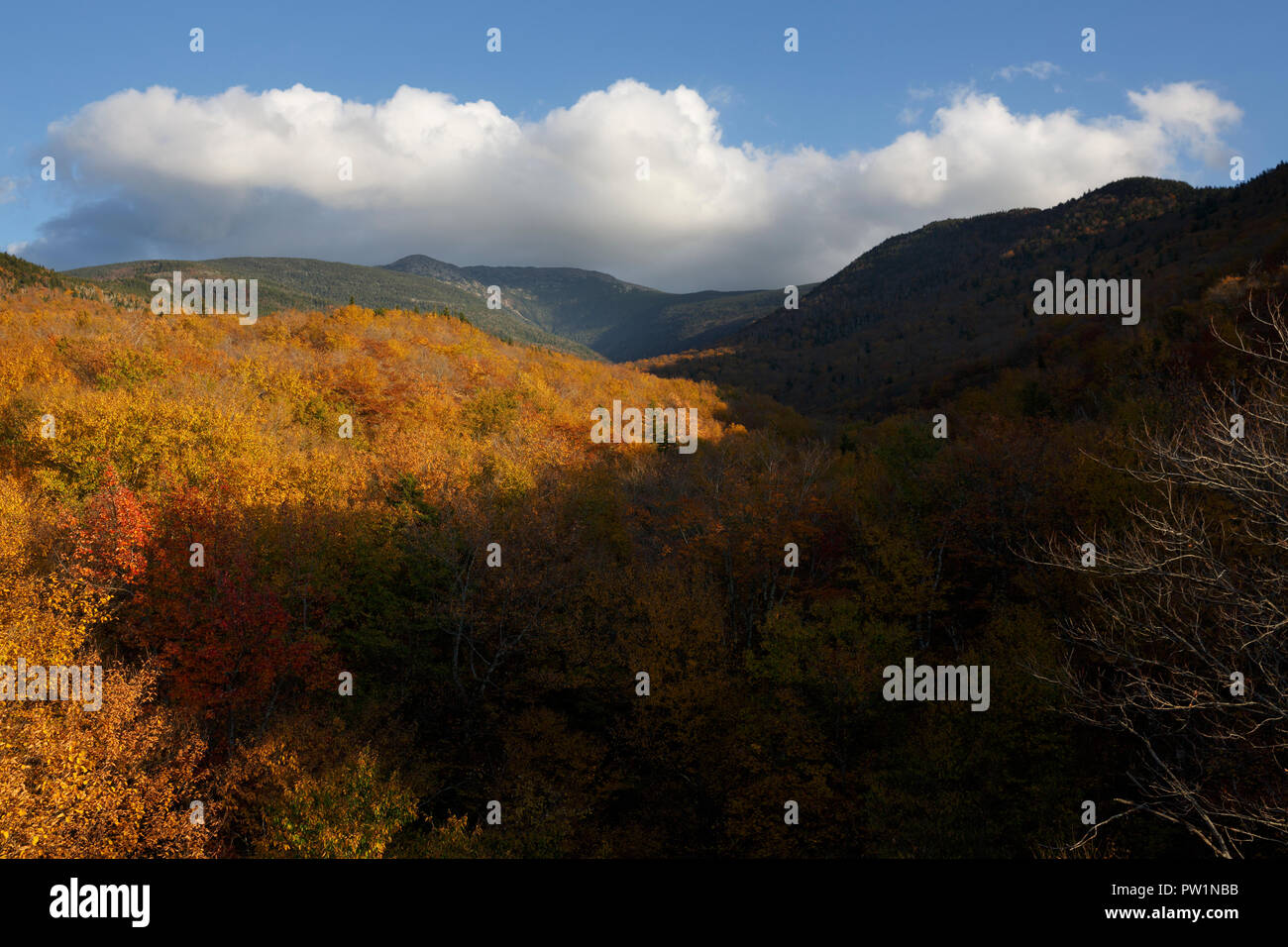 Mont Lafayette, White Mountains National Forest, New Hampshire, USA Banque D'Images