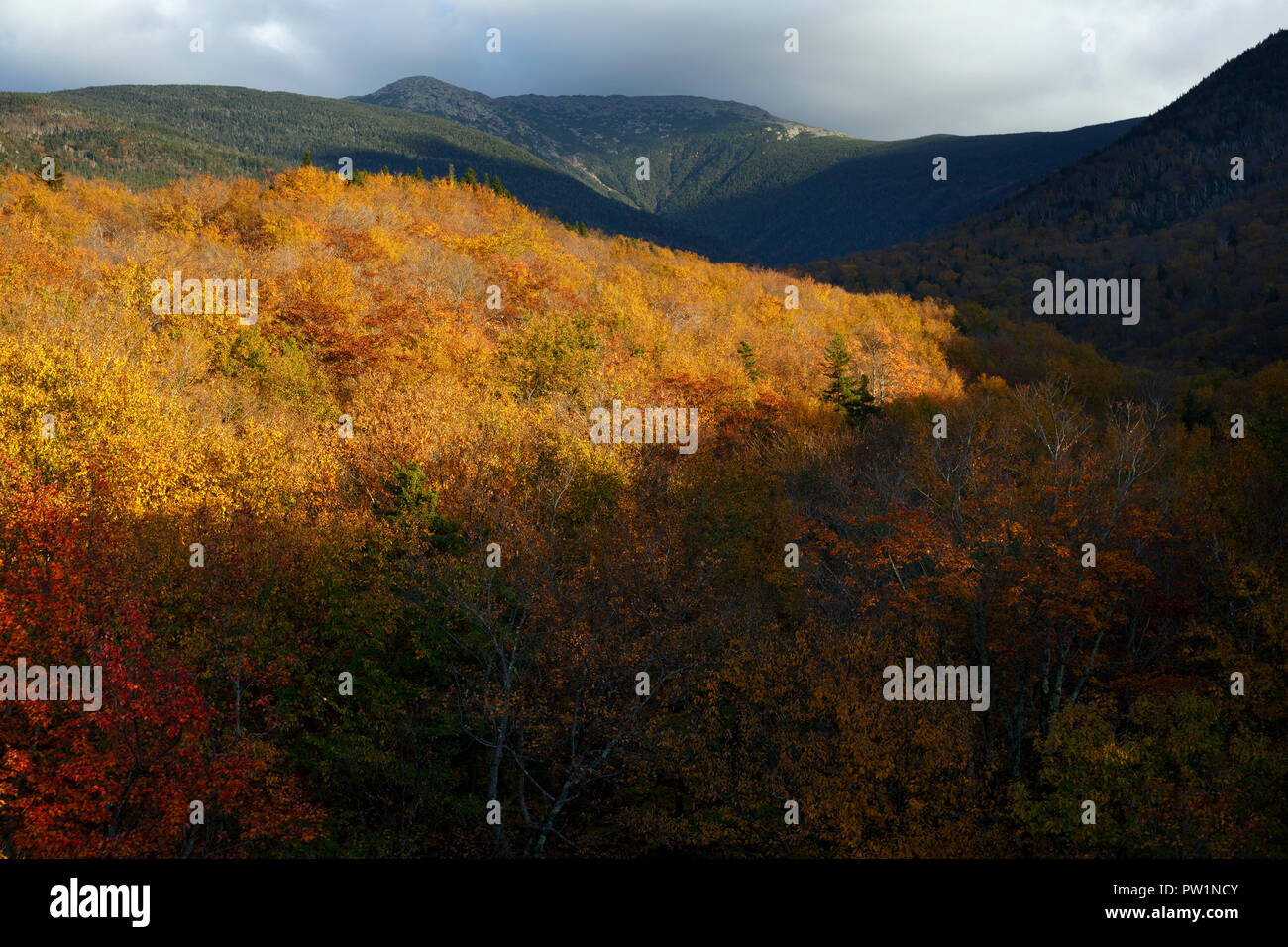 Mont Lafayette, White Mountains National Forest, New Hampshire, USA Banque D'Images