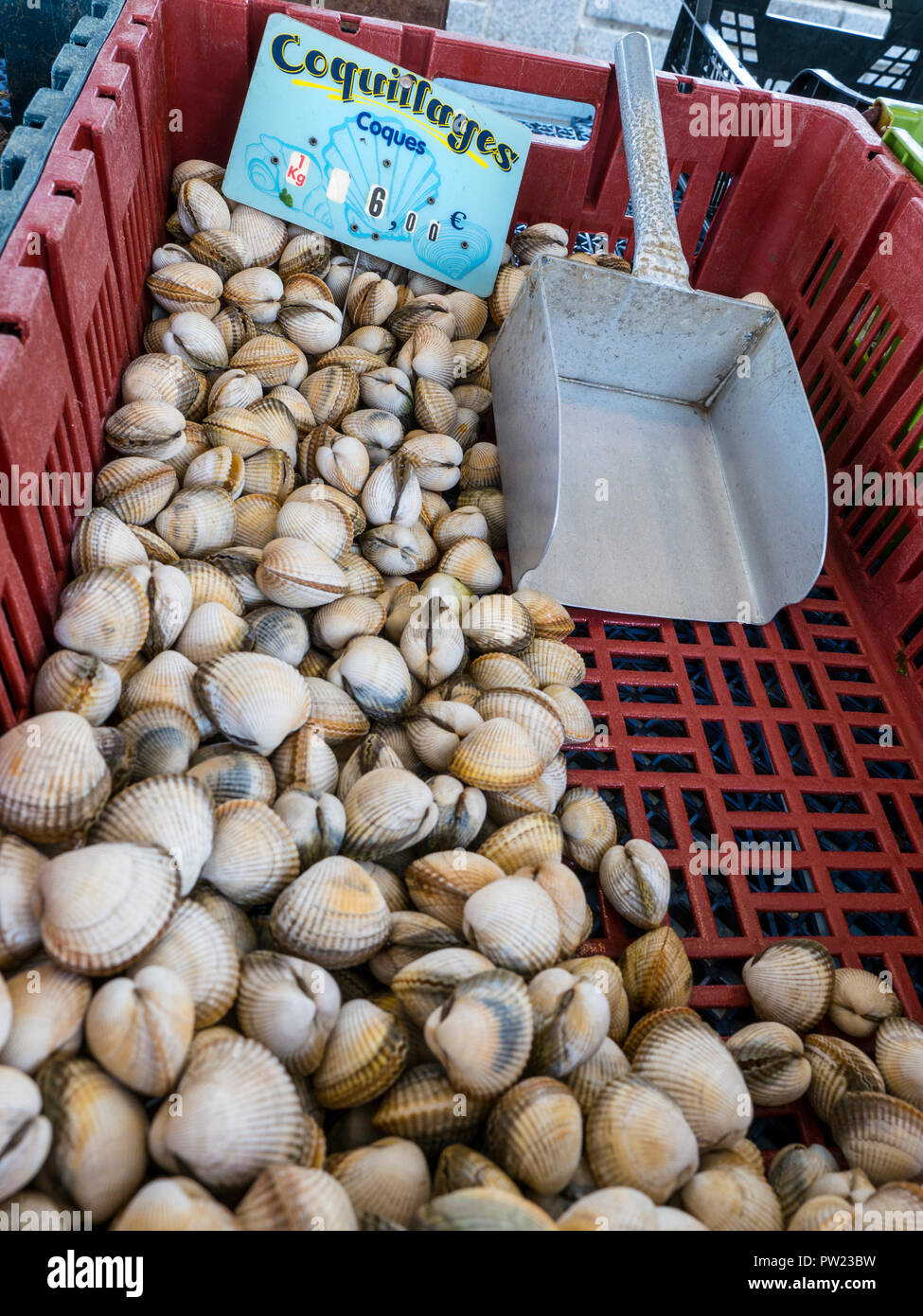 Coquillage Coques Piscine Concarneau Marche Poisson Coquillage Coques En Vente A Jour De Marche A Couvert Halles Concarneau Bretagne France Photo Stock Alamy Coquillage Coques Piscine Concarneau Marche Poisson Coquillage Coques En Vente A Jour De Marche A Couvert Halles Concarneau Bretagne France Photo Stock Alamy