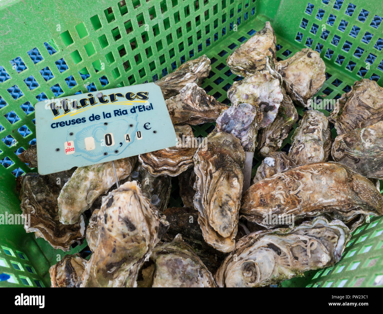 Huîtres Ria d’Etel marché Bretagne région de décrochage Huitres crevasses huîtres de roche à collerette bon marché marché Bretagne marché au poisson Concarneau Bretagne France Banque D'Images