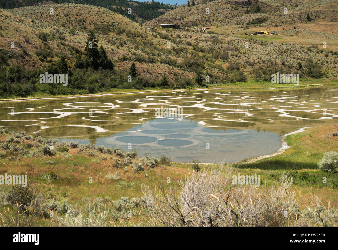 Lac tacheté près d'Osoyoos, Colombie-Britannique, Canada Banque D'Images