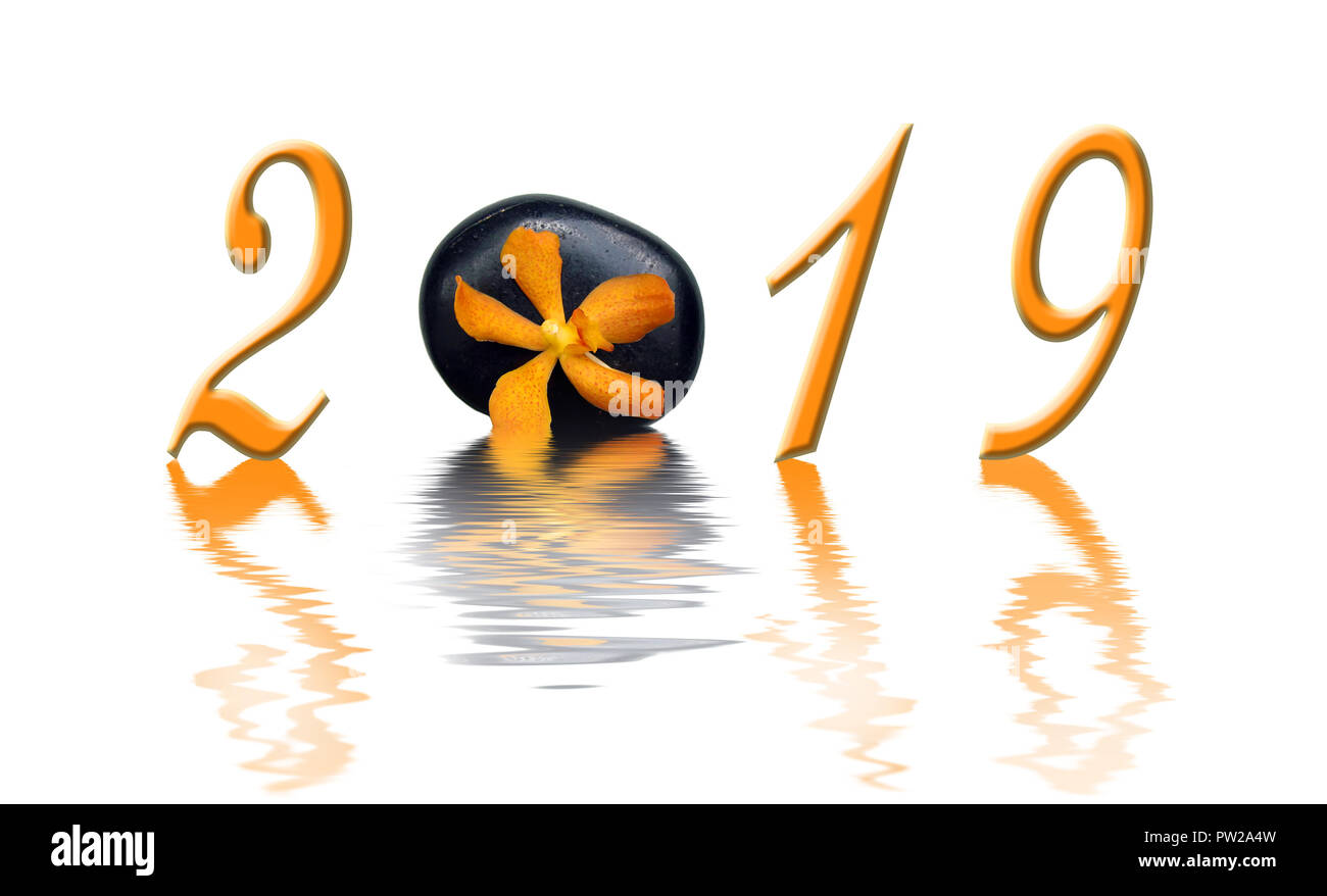 En 2019, l'orchidée orange zen et pierre noire Banque D'Images