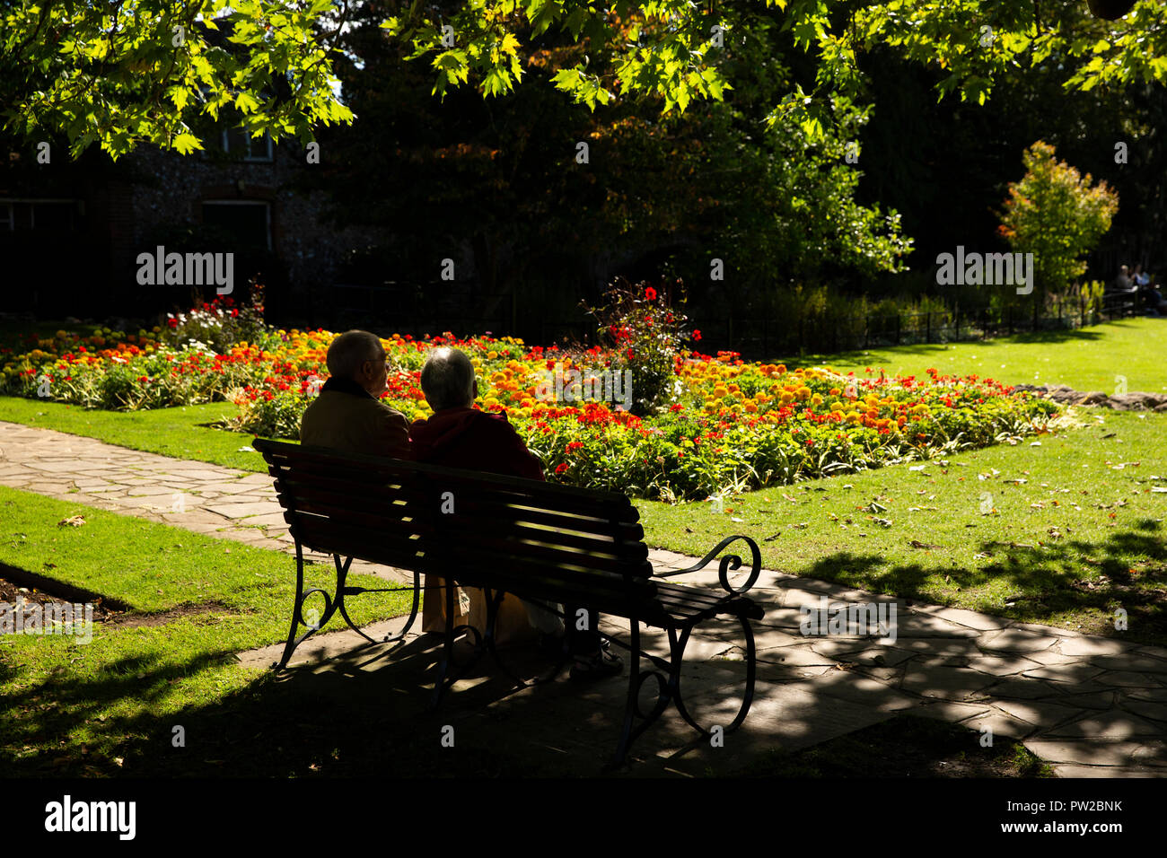 UK, Kent, Canterbury, le Westgate Gardens, silhouetté senior couple assis sur un banc au soleil parmi les fleurs Banque D'Images