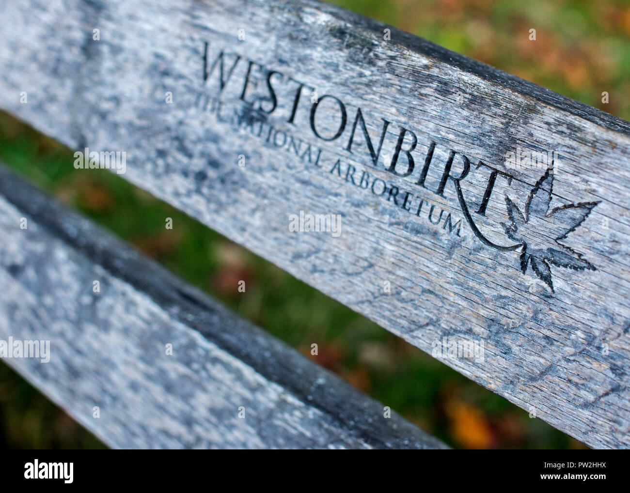 Insigne Westonbirt sur un banc de Westonbirt Arboretum, Tetbury, Gloucestershire, Royaume-Uni Banque D'Images