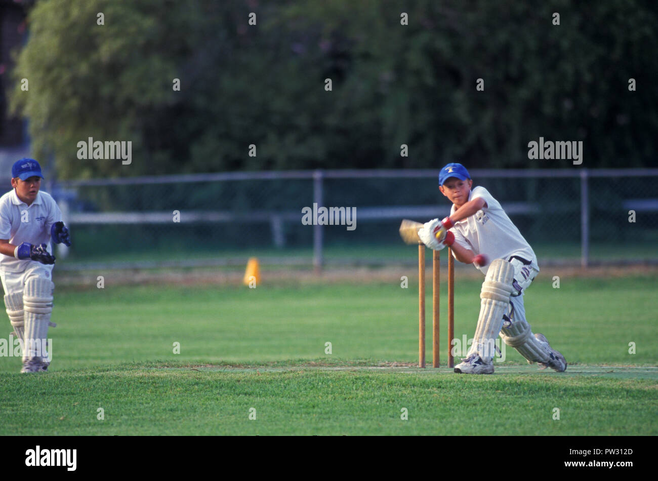 Jeu de cricket Junior en cours, Sydney, New South Wales, Australia Banque D'Images