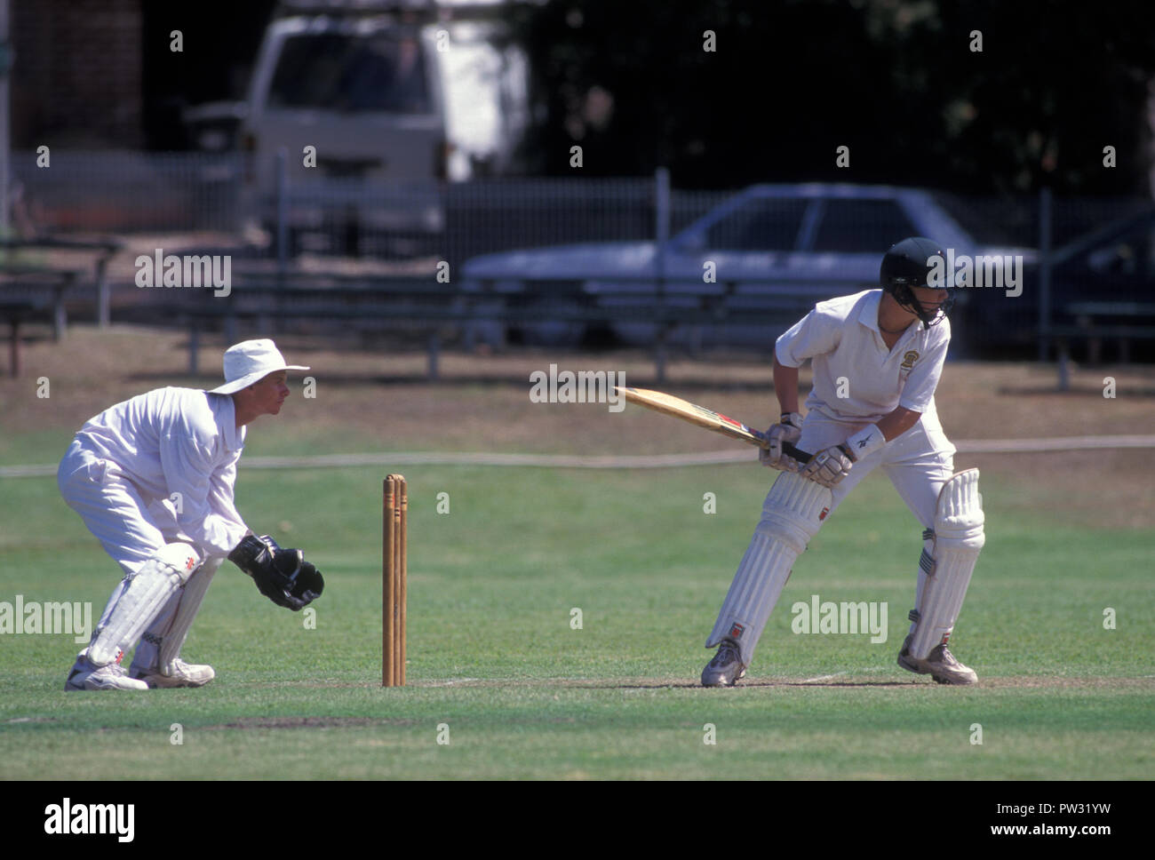 Jeu de cricket local en cours, Sydney, New South Wales, Australie Banque D'Images
