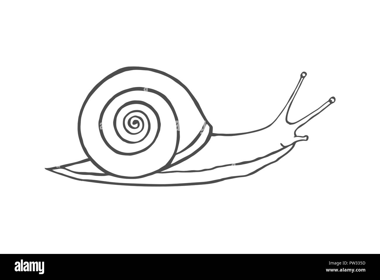 Shell croquis concept isolé sur blanc Illustration de Vecteur