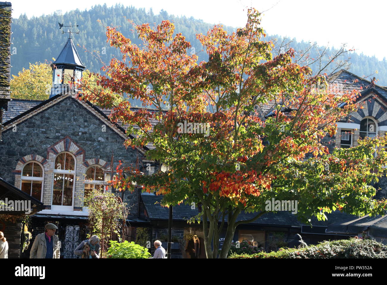 L'automne, le Pays de Galles UK Banque D'Images