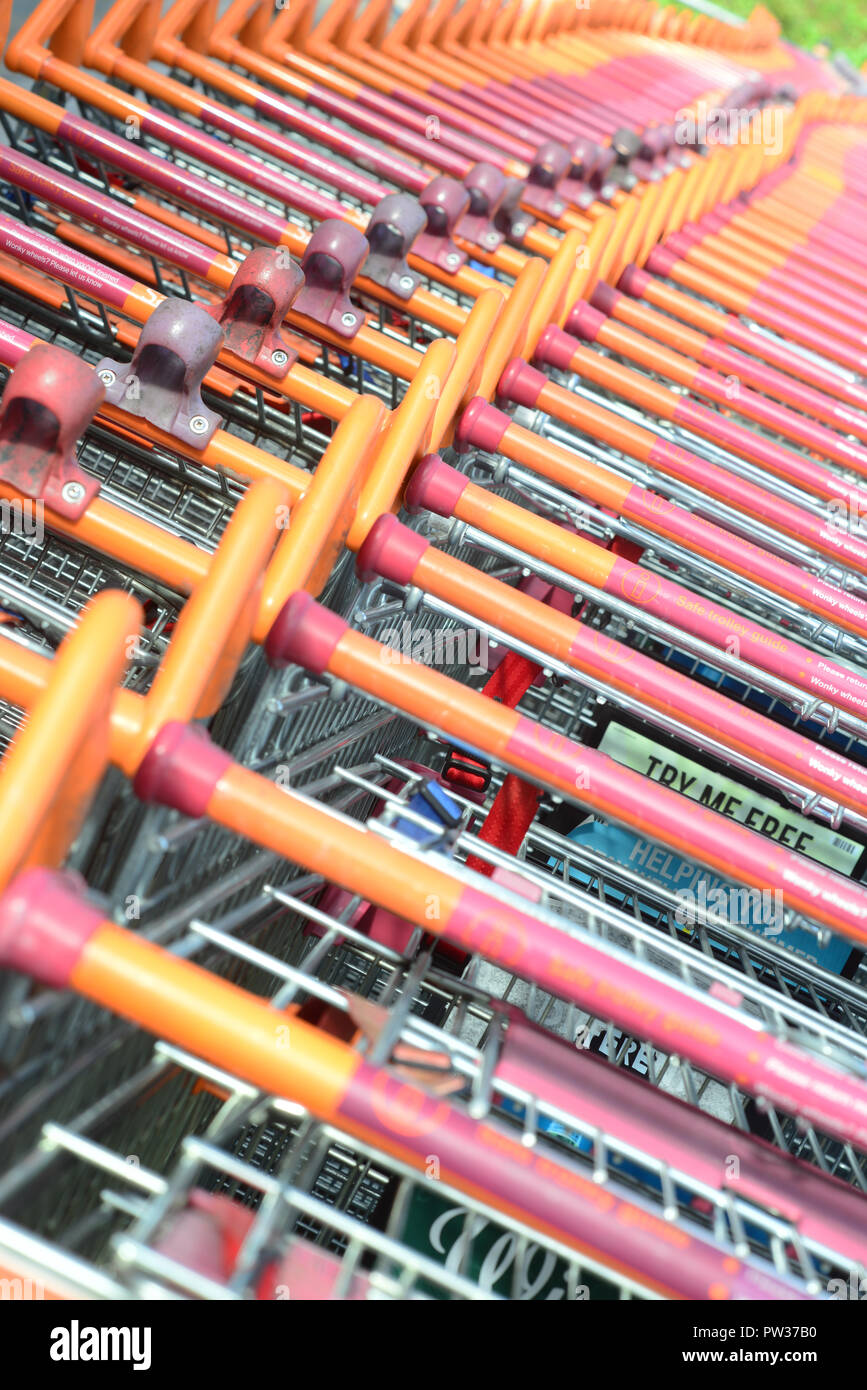 Close up de lignes de centaines de chariots de supermarché au Royaume-Uni Banque D'Images