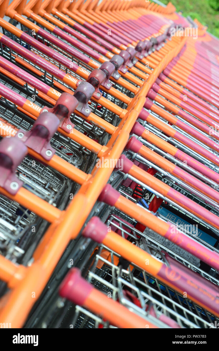 Close up de lignes de centaines de chariots de supermarché au Royaume-Uni Banque D'Images