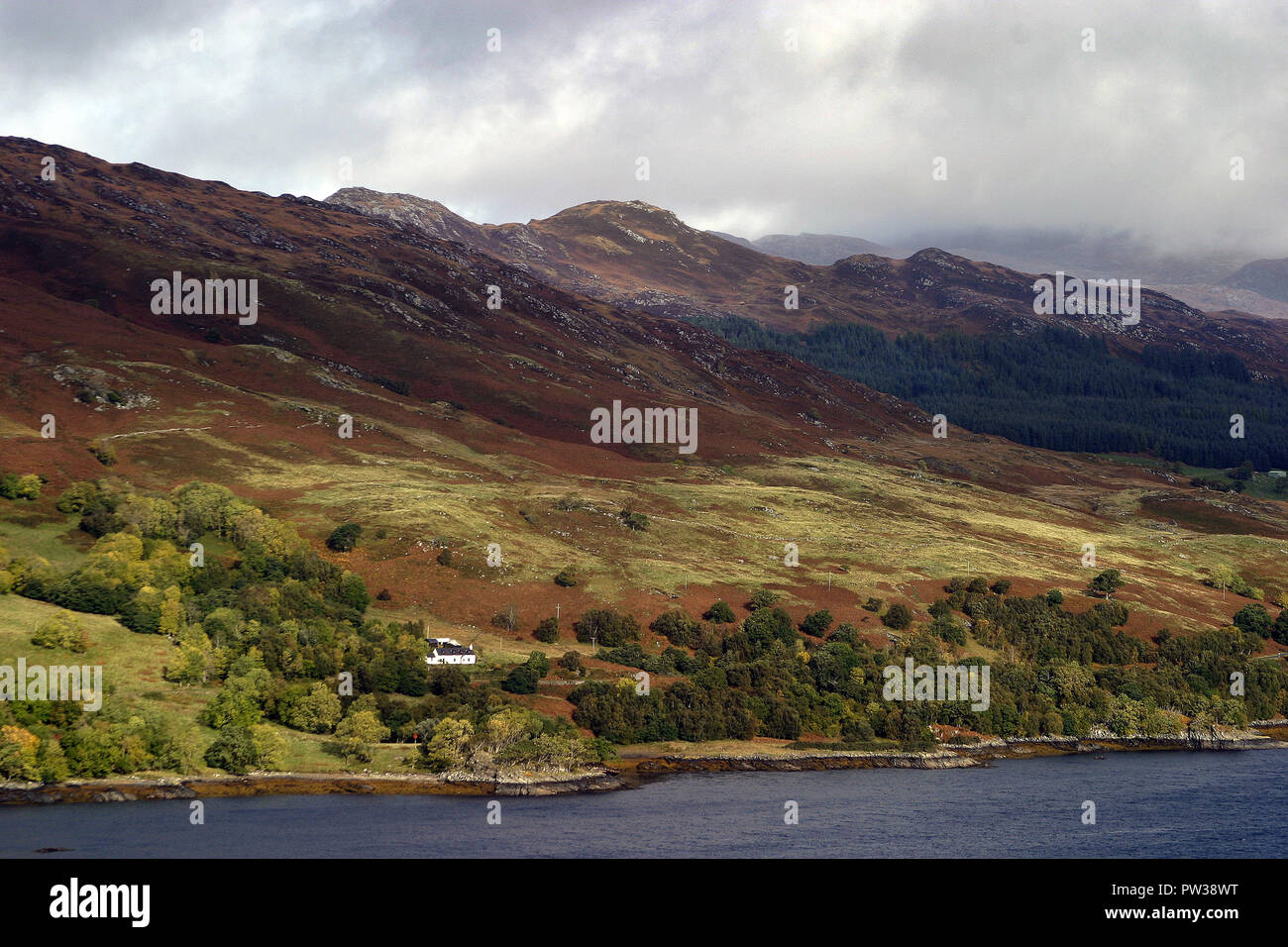 Vue impressionnante de paysages écossais à son meilleur. C'est les collines, montagnes, arbres, champs, avec la lumière du soleil cueillette à toutes les nuances de vert dans cette immense étendue de la perfection. C'est une zone connue sous le nom de Strathcarron dans le nord de l'Ecosse et l'eau est le Loch Carron. Il n'est pas beaucoup mieux que cela ! Banque D'Images