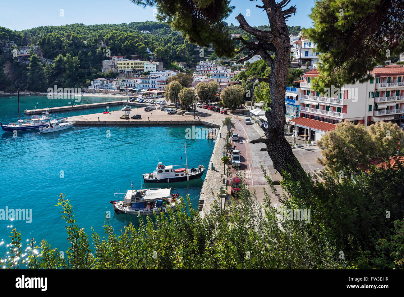 Port Patitiri Alonissos, Sporades du Nord, Grèce. Banque D'Images