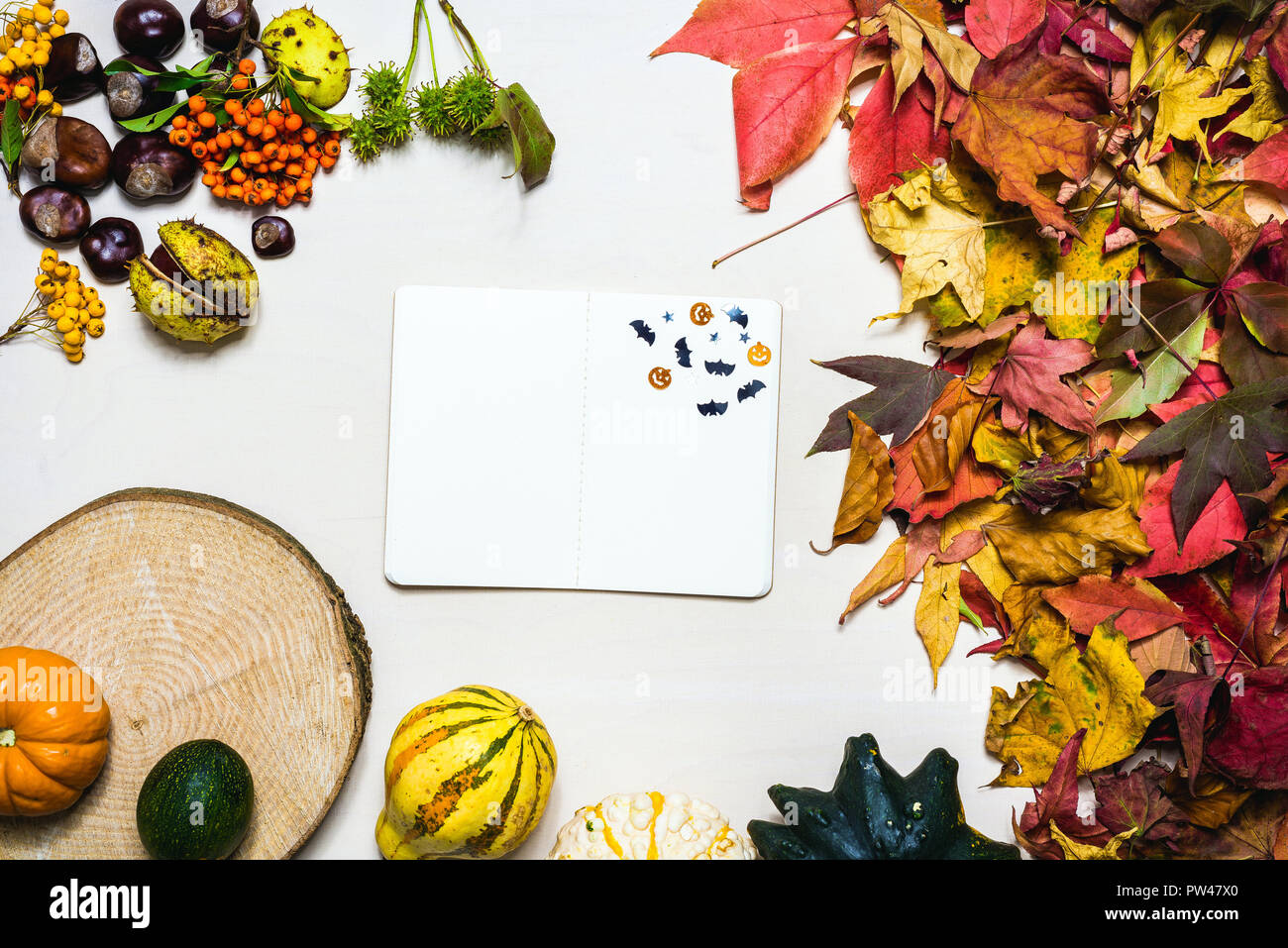 Moody automne fond photo avec des feuilles colorées, les citrouilles, les châtaignes avec le bloc-notes blanc vide avec de l'espace libre pour le message comme modèle Banque D'Images