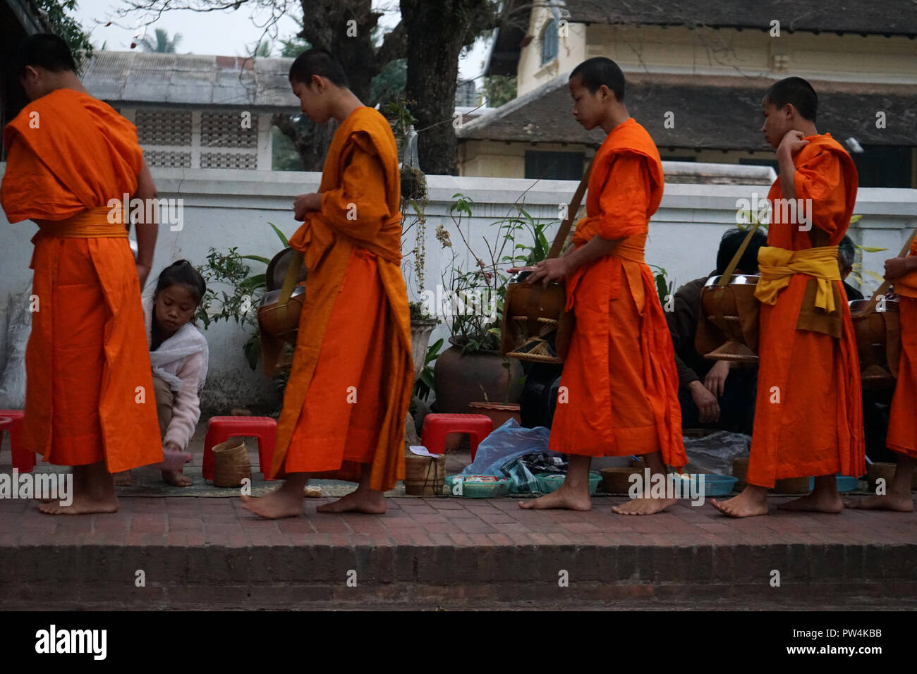 Morgendlichen Bettelgang Mönche beim, Luang Prabang, Laos, Asie Banque D'Images