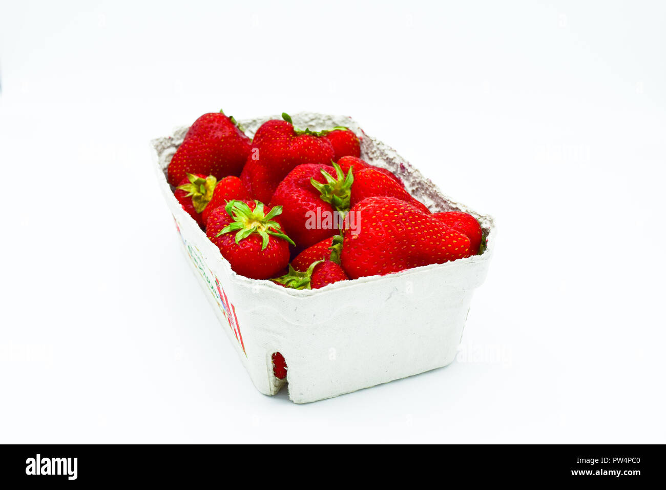 Les fraises au fort, punnett de fraises isolé sur fond blanc Banque D'Images