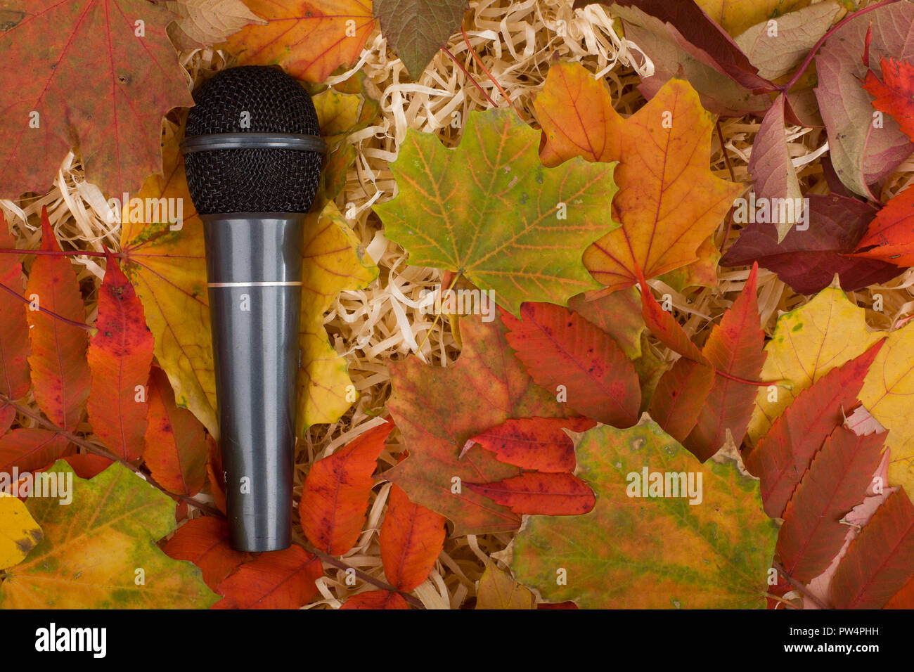 Microphone et les feuilles d'automne. Les sons et la musique de l'automne. Banque D'Images