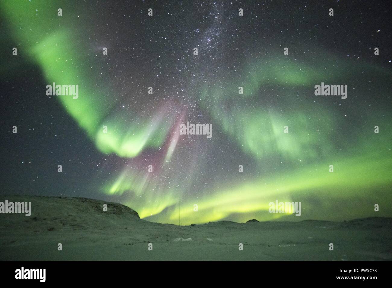Northern Lights très colorés dans le ciel nocturne. L'antarctique Banque D'Images