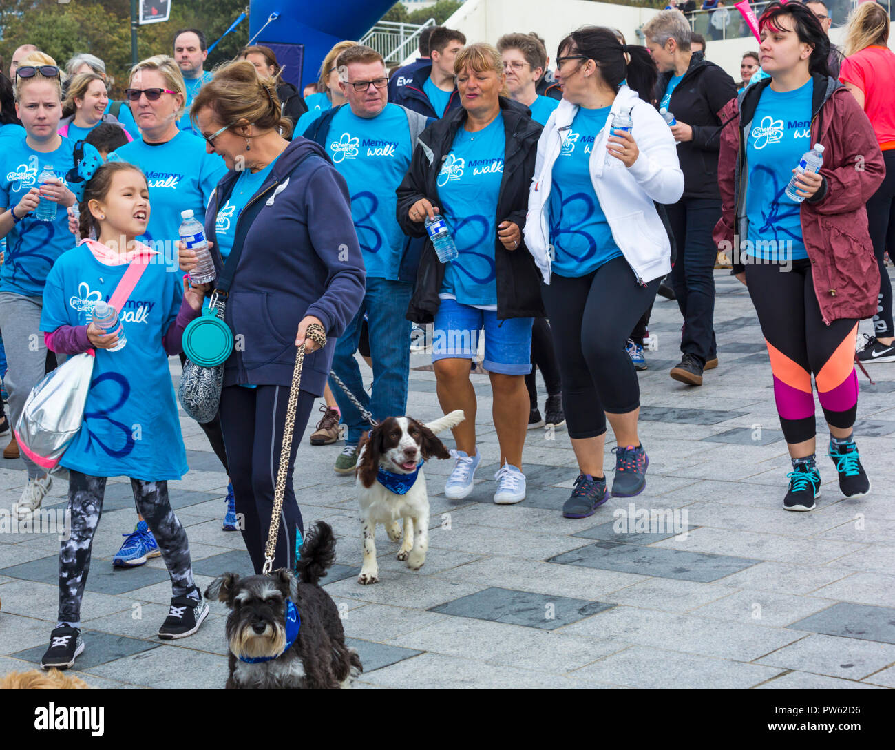 Bournemouth, Dorset, UK. 13 Oct 2018. Prendre part à la mémoire des partisans à pied à Bournemouth de se souvenir des êtres chers et pour aider à amasser des fonds pour la recherche contre la démence et l'Alzheimer. Les marcheurs rencontrés breezy écran conditions à l'aide d'un début, mais sunshine coming out plus tard - la marche a été reportée de plus tôt dans l'année en raison du mauvais temps ! Credit : Carolyn Jenkins/Alamy Live News Banque D'Images