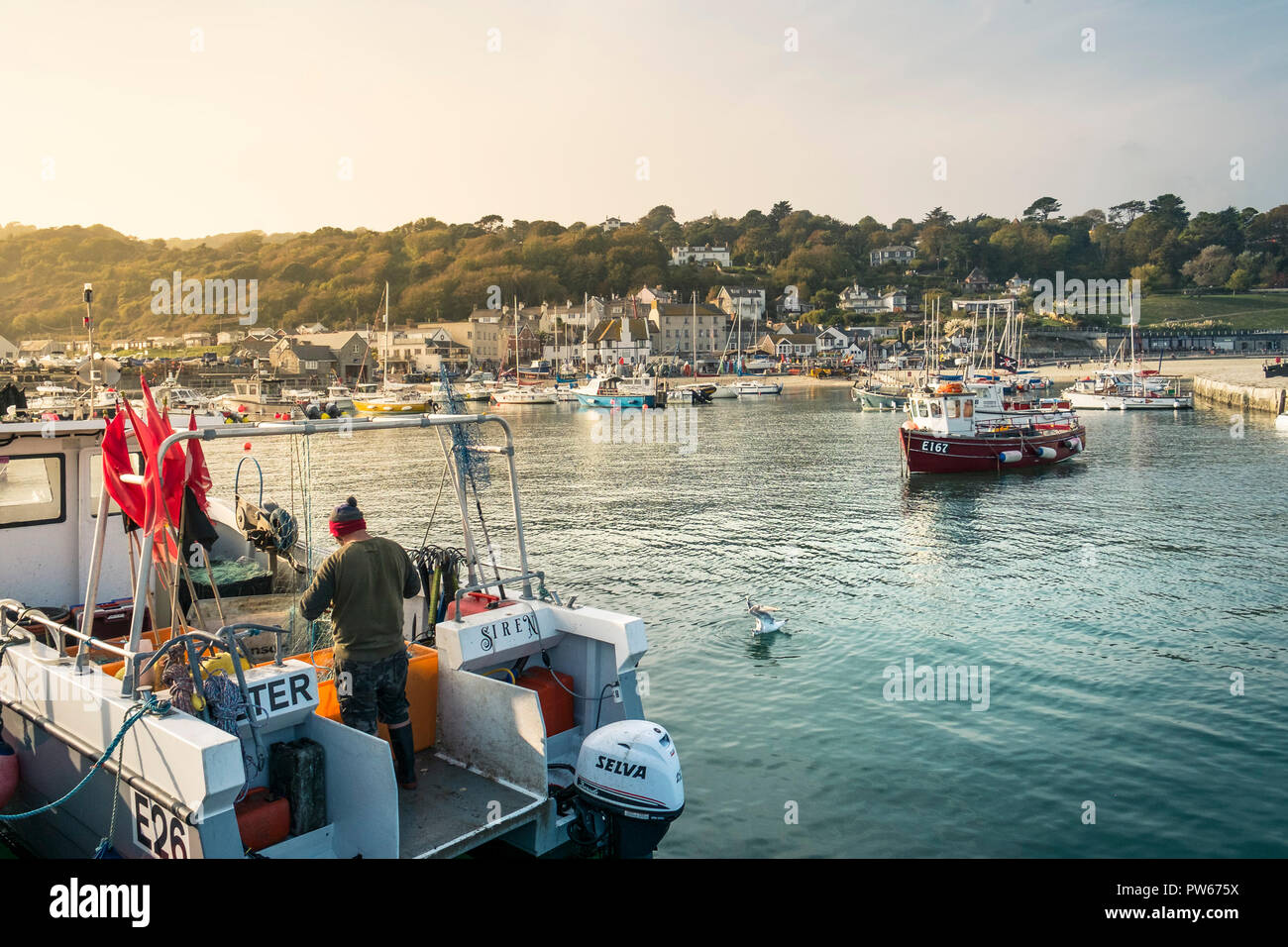 Un pêcheur travaille sur son bateau de pêche dans le port de Lyme Cobb dans la ville côtière de Lyme Regis dans le Dorset. Banque D'Images