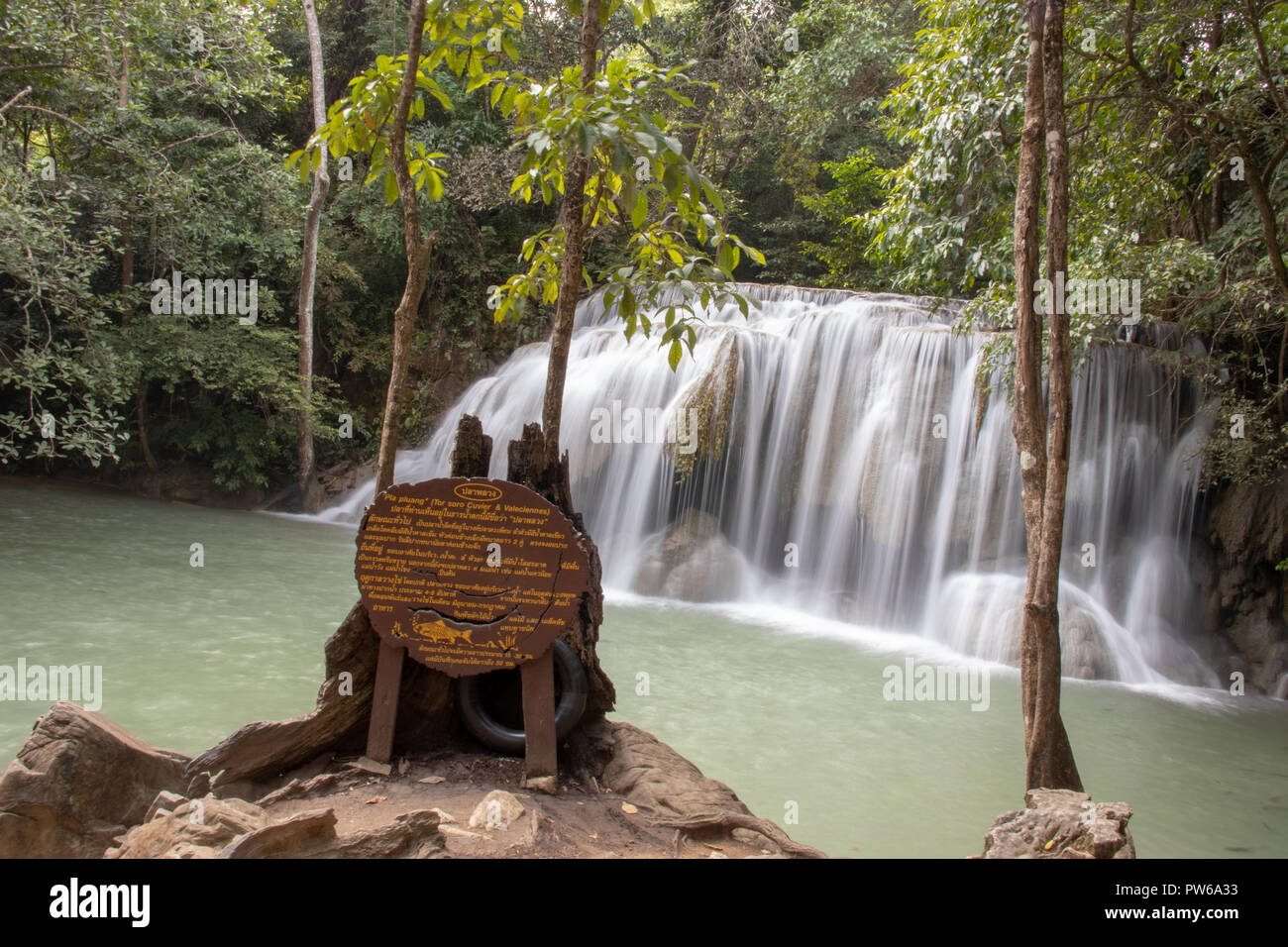 Les chutes d'Erawan en Thaïlande Banque D'Images