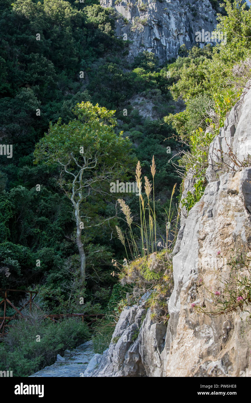 Pont de Damouchari, site de tournage pour 'Mamma Mia', Pelion, Grèce Banque D'Images