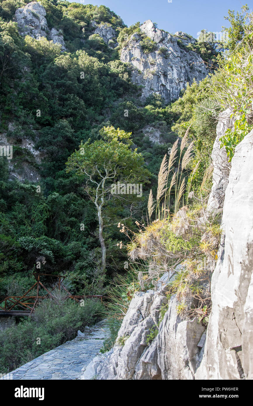 Pont de Damouchari, site de tournage pour 'Mamma Mia', Pelion, Grèce Banque D'Images