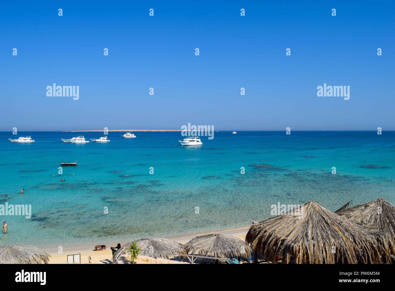 L'île de Mahmya en Mer Rouge en Egypte, plage idyllique de l'île de Mahmya avec de l'eau turquoise, l'Égypte Banque D'Images