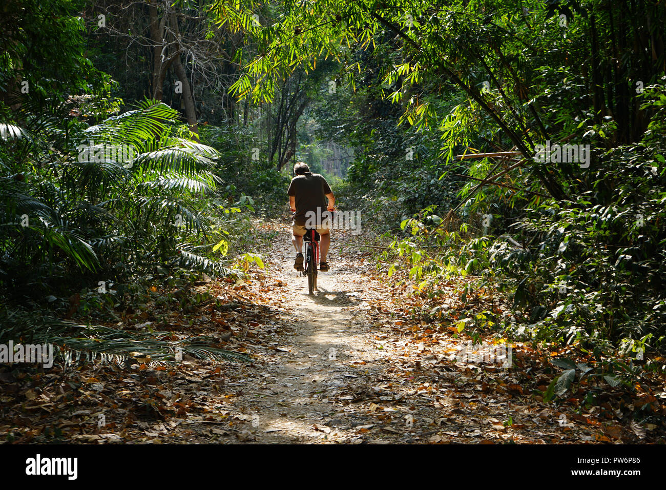 Auf touristiques Fahrrad, Don Khon, 4000 îles, Si Phan Don, Mékong, Provinz Champassak, Süd-Laos, Laos, Asie Banque D'Images