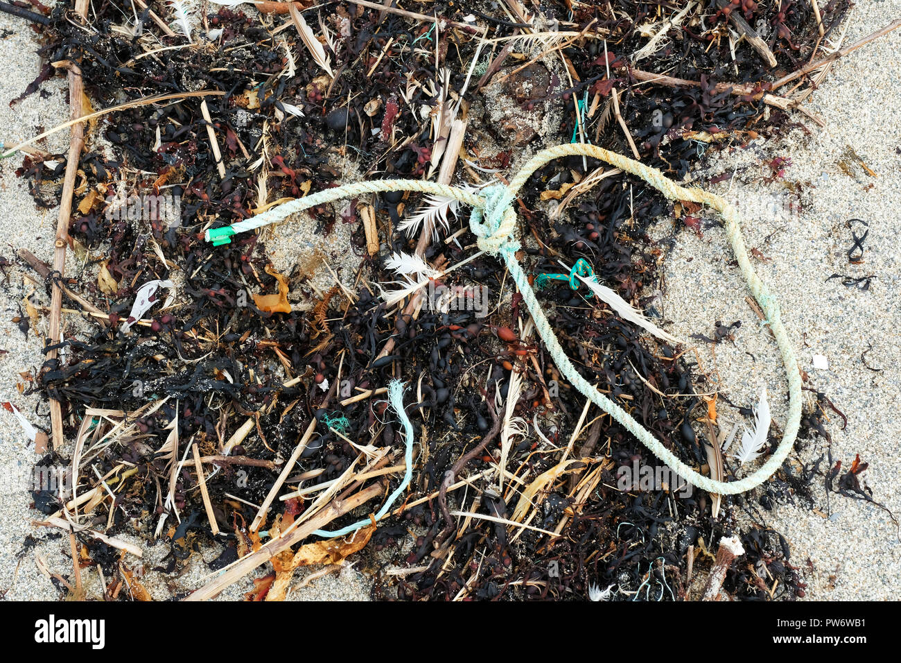 Déchets en plastique à l'origine des problèmes de pollution sur une plage de sable fin - John Gollop Banque D'Images