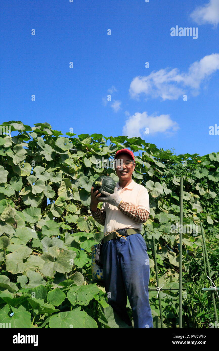 Les hommes japonais dans le domaine Banque D'Images