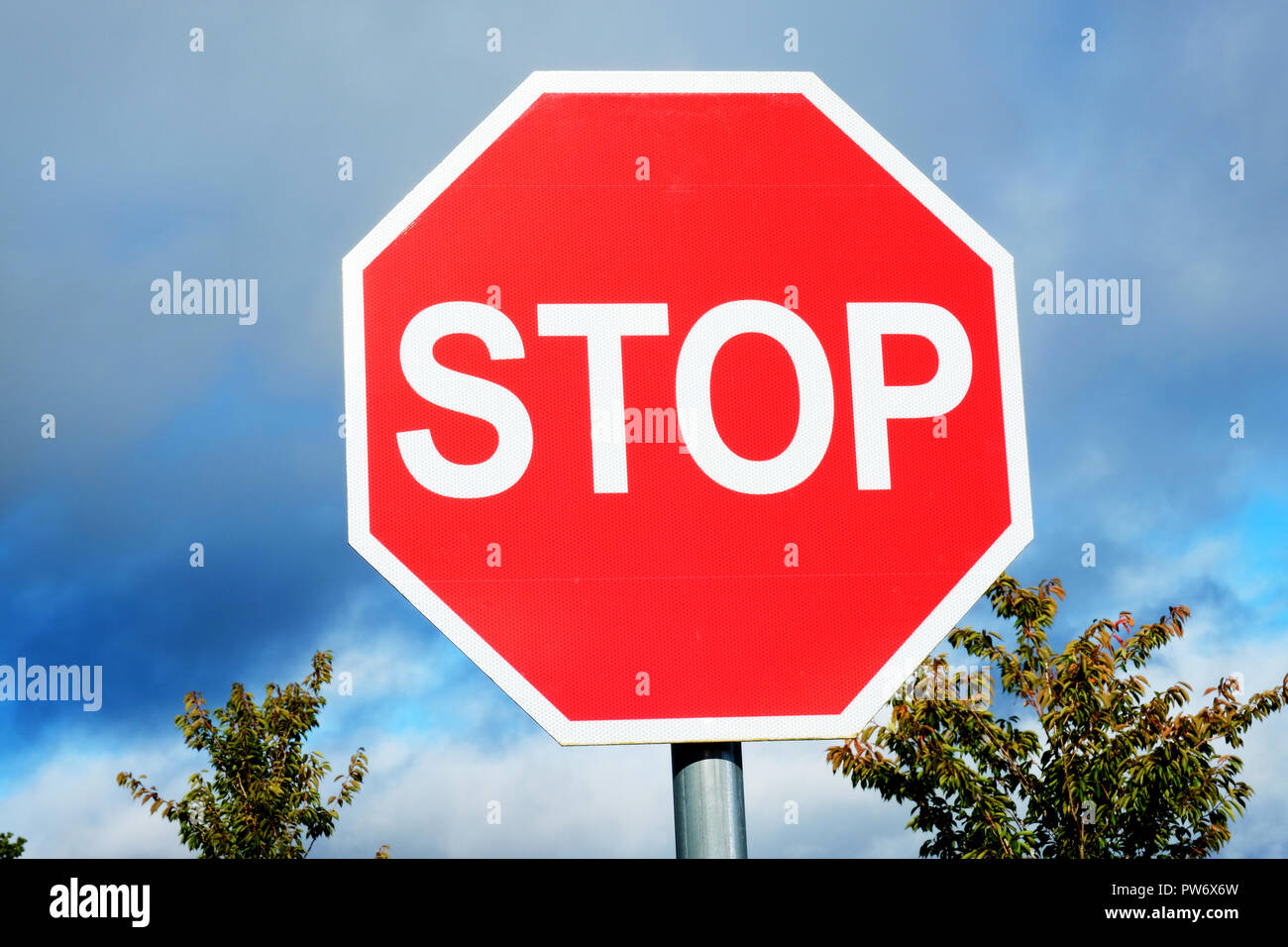 Panneau stop - John Gollop Banque D'Images