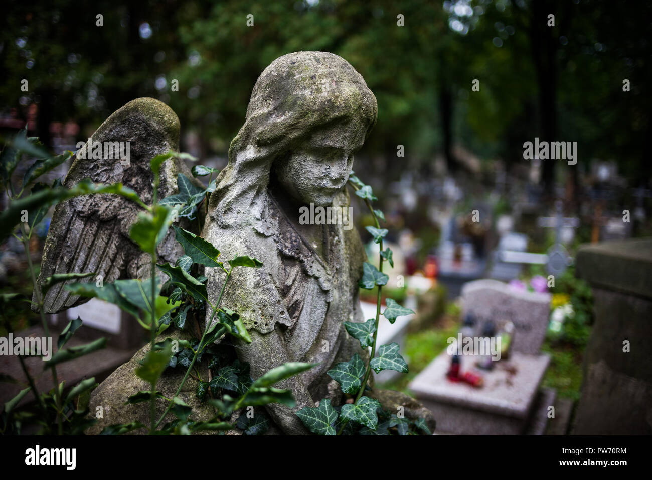 Little Angel statue du 19ème siècle dans la vieille nécropole à Cracovie, Pologne, pierre tombale cimetière vintage sculpture d'une jeune fille avec des ailes, les hauts-de Banque D'Images