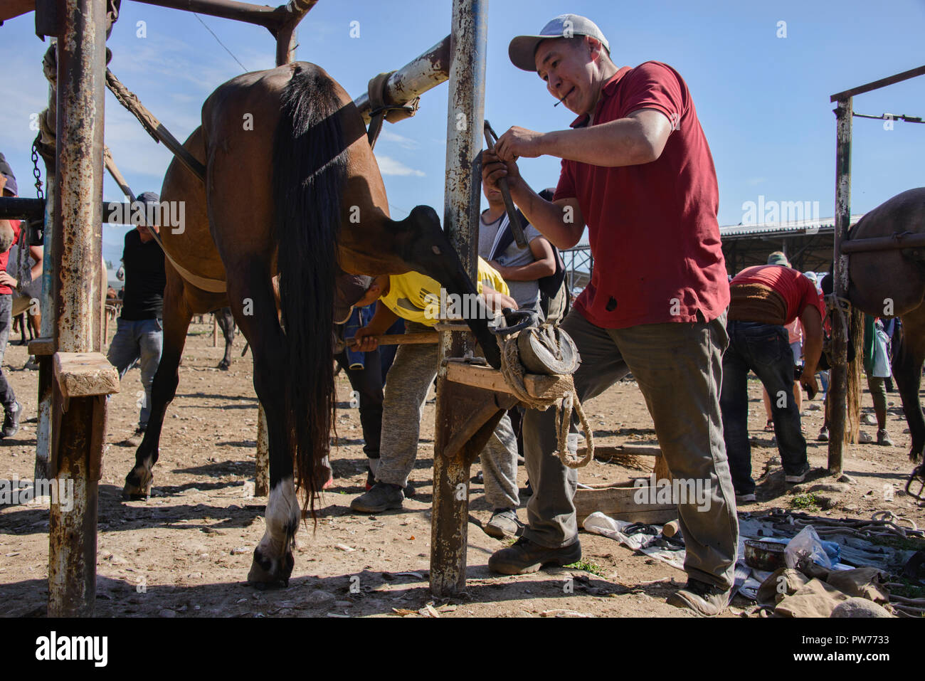 Базары мал Bazar (MAL)/ animal bazar marché à Karakol, Kirghizistan Banque D'Images