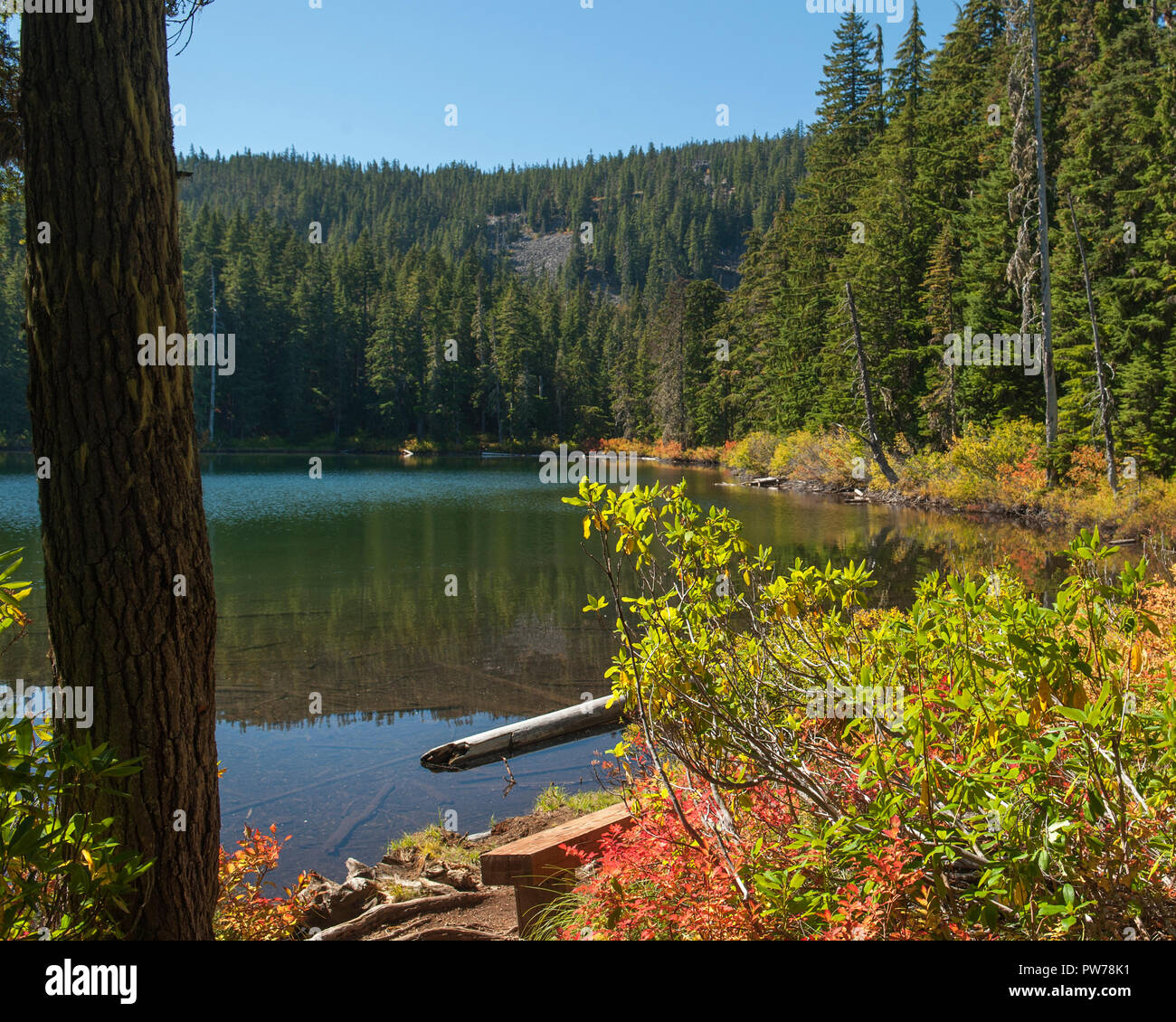 Hideaway Lake, dans l'Oregon est Mt. Hood National Forest. Banque D'Images